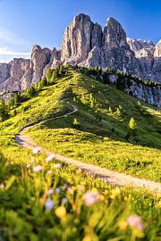 Col de Grödner, Tyrol du Sud sur Achim Thomae Photography