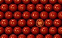 Rode tomaten