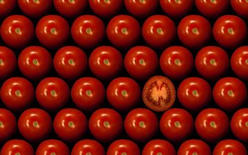 Rode tomaten van Martin Podt