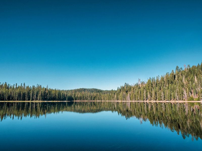Perfekte Spiegelung des Waldes auf einem See von Marc van den Elzen