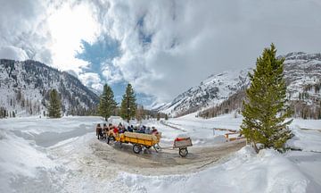 Val Roseg,  Koets met twee paarden, Pontresina, Oberengadin, Zwitserland van Rene van der Meer