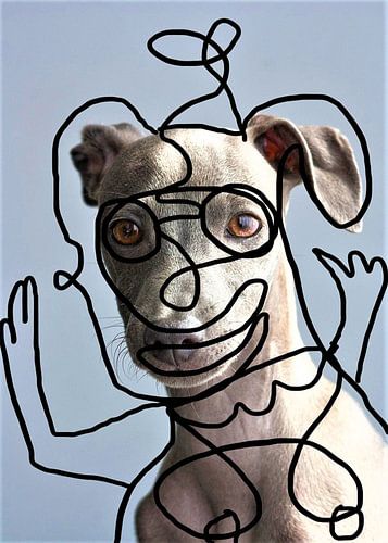 Le chien by Murat Rey.