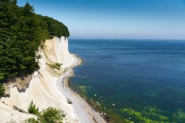 Rügen Kreidefelsen im Nationalpark Jasmund von Reiner Würz / RWFotoArt
