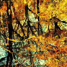 Goldener Herbst von Paula van den Akker