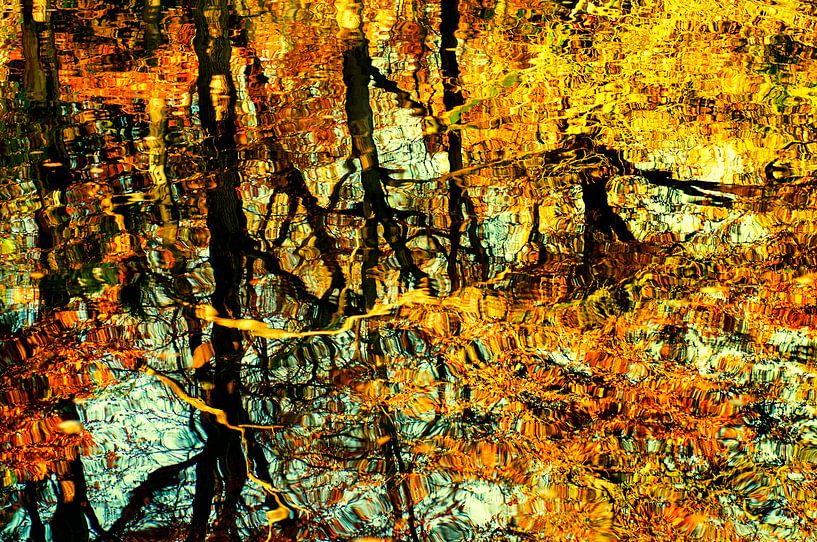 Golden Autumn by Paula van den Akker