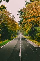 Straße im Herbst