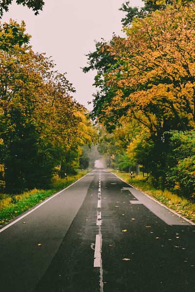 Straße im Herbst von Kelly Kutterik Photography