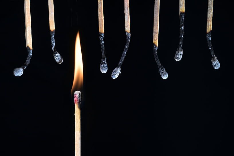 Allumette brûlante avec une flamme entre une rangée d'allumettes brûlées suspendues par Maren Winter