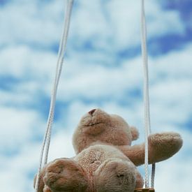 Bear on swing with cloudy blue sky. by Sailographic Paula