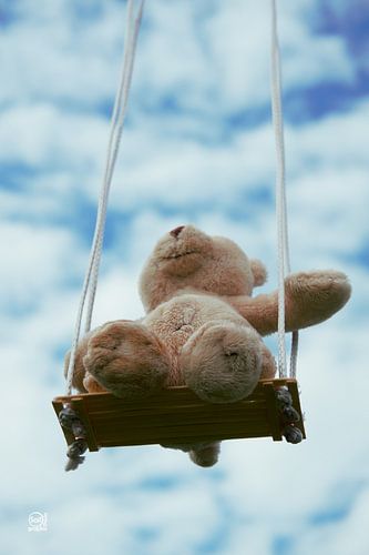 Bear on swing with cloudy blue sky.