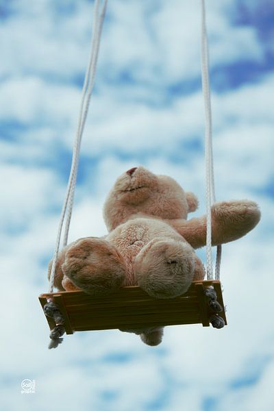 Bear on swing with cloudy blue sky. by Sailographic Paula