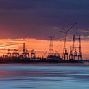 Container terminal at an orange colored sunset_2 by Tony Vingerhoets thumbnail