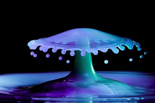 Die wunderbare Welt der Splash-Fotografie".
