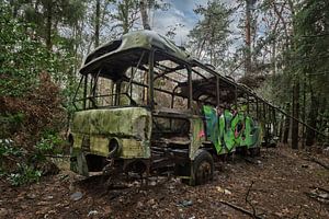 Jungle Bus van Linda Lu