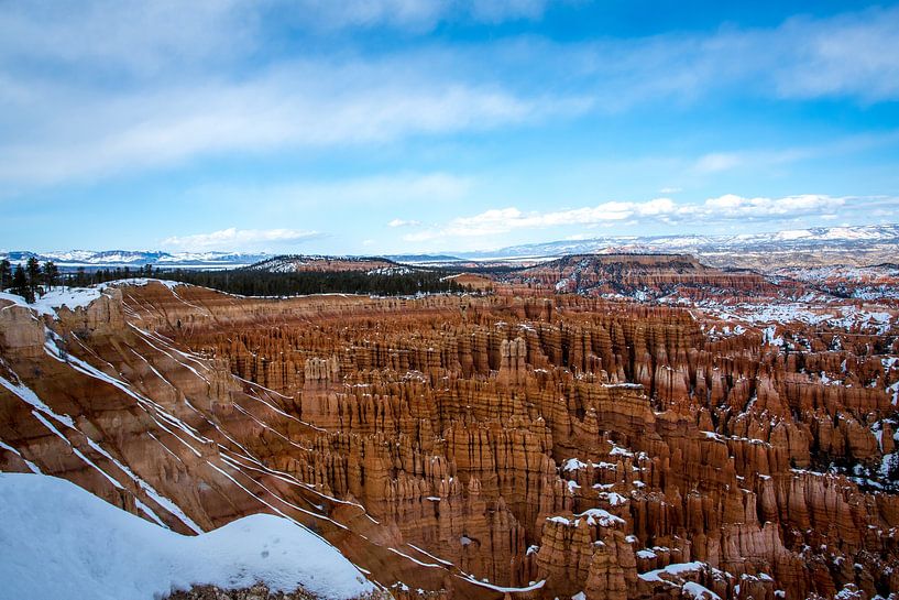 Bryce Canyon - 2 von Bart van Vliet