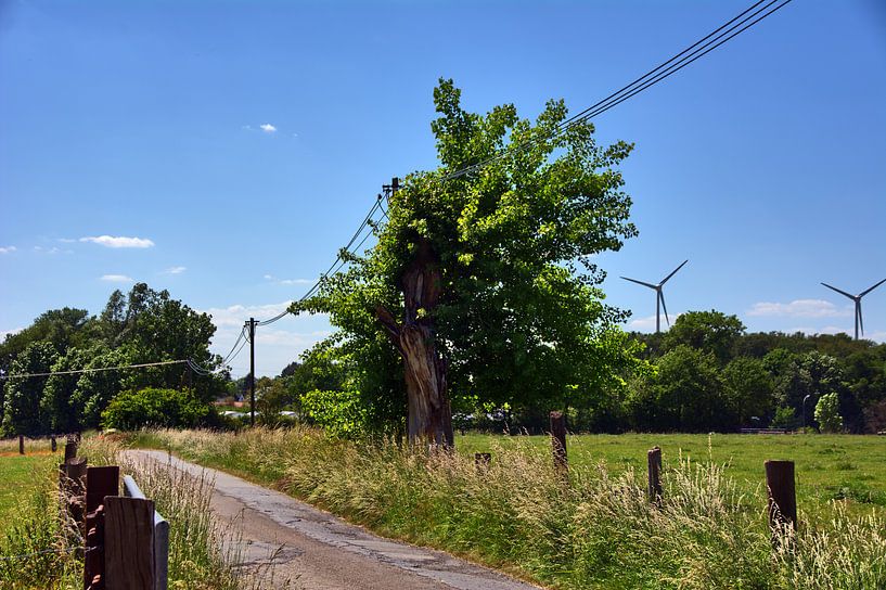 Dortmund 92 van Edgar Schermaul