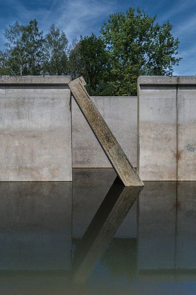 Restanten van het Waterloopbos van Tonny Janssen