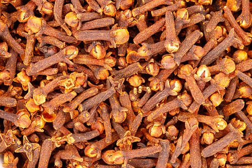 Dried whole cloves forming aromatic spice background texture