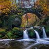 Autumn in the Mullerthal - Shooting Pond by Dieter Meyrl