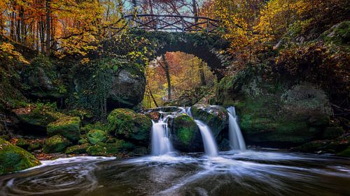 Autumn in the Mullerthal - Shooting Pond