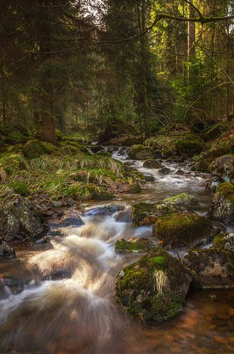 Waterfall at Harz Mountain