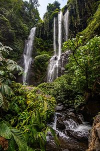 Sekumpul Wasserfall, grüne schlucht in Buleleng, Bali, Indonesien