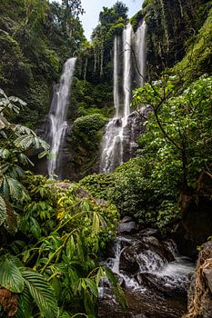 Sekumpul waterfall, green gorge in Buleleng, Bali, Indonesia