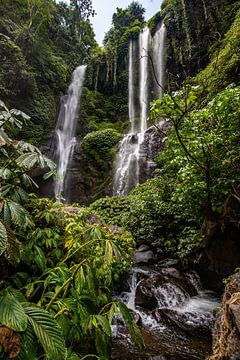 Sekumpul waterval, groene kloof in Buleleng, Bali, Indonesië van Fotos by Jan Wehnert