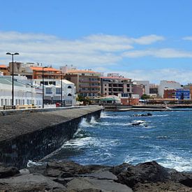 Tenerife typisch Canarisch - Puertito de Güímar van kanarischer Inselkrebs Heinz Steiner