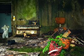 biotope - abandoned and dilapidated villa by theresa niemann