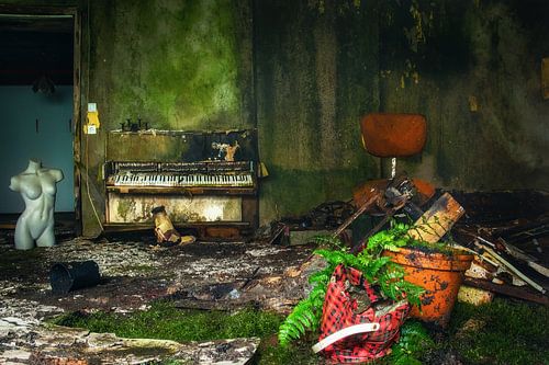 biotope - abandoned and dilapidated villa