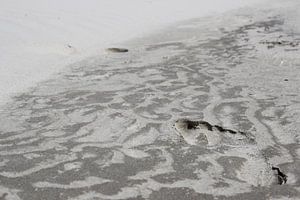 Footsteps on the beach van Lis Zandbergen