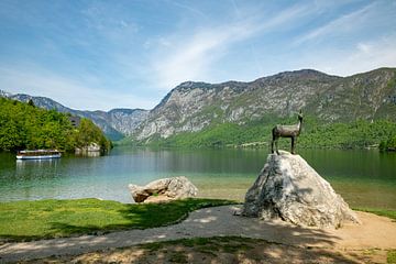 nature in slovenia with the waters of lake bohinj by ChrisWillemsen