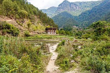 Blick auf ein Tal mit einem Bauernhof im bhutanesischen Stil in einer bergigen Landschaft in Zentral von WorldWidePhotoWeb