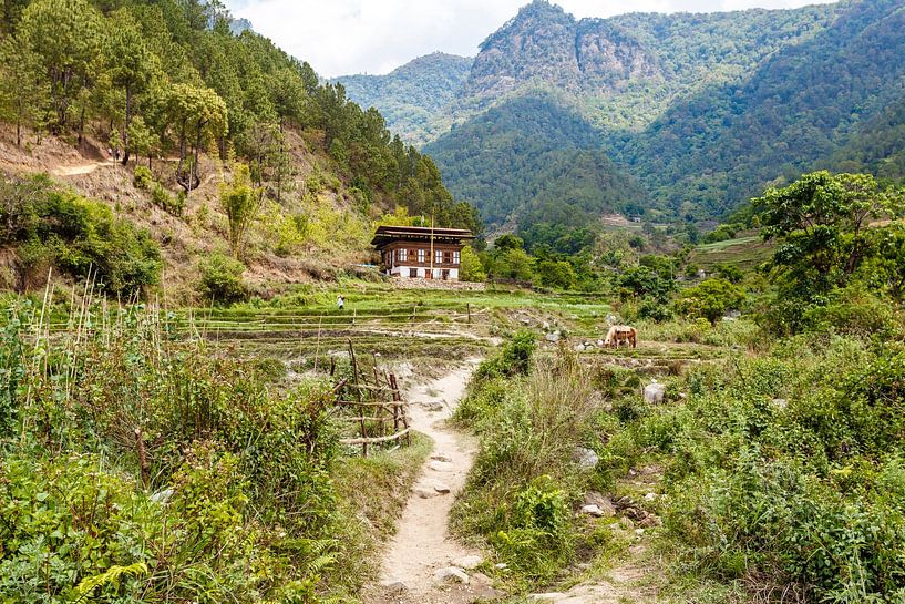 Zicht op een vallei met boerderij in Bhutaanse stijl in een berglandschap in Centraal Bhutan, Azië van WorldWidePhotoWeb