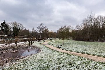 Deserted city park covered with  layer of fresh snow on an early van Werner Lerooy