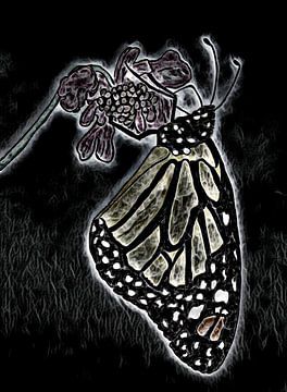 Papillon monarque. sur Jose Lok