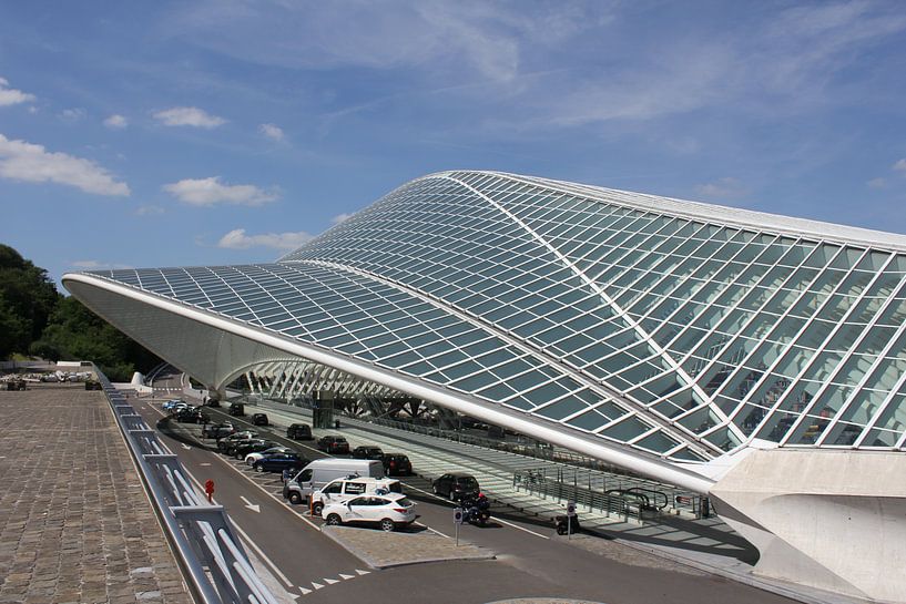 Station Luik-Guillemins von Charella Hulsbosch