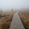 De Belgische Hoge Venen in de mist van Raoul Baart
