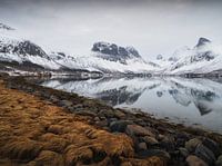 Humeurige ochtend in Noorse fjorden