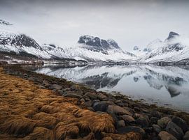 Stimmungsvoller Morgen in den norwegischen Fjorden von Erel Turkay