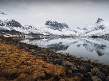 Matinée d'humeur dans les fjords norvégiens sur Erel Turkay