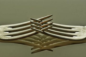 Reflection of two forks by Dirk Herdramm