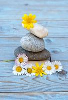 Zen stenen met bloemen