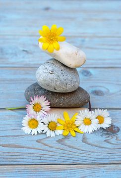 Zen stones with flowers by Trinet Uzun