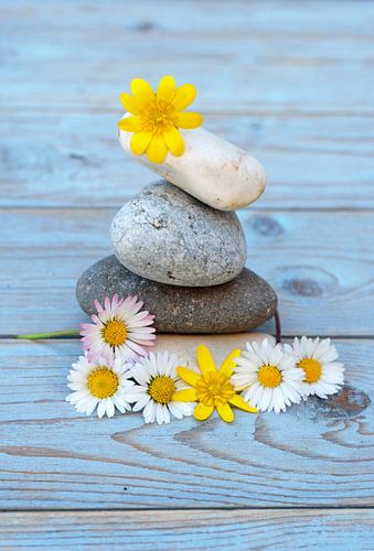 Zen stenen met bloemen