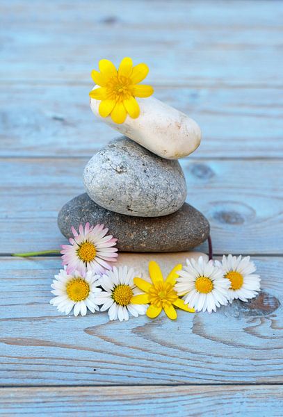 Zen-Steine mit Blumen von Trinet Uzun