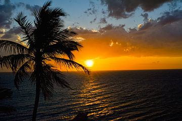 Tropische zonsondergang aan de Golf van Mexico van David Esser