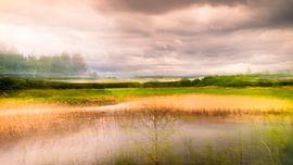 wouwerbeek in Bavel van Peter Smeekens