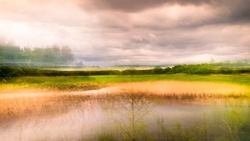 wouwerbeek in Bavel